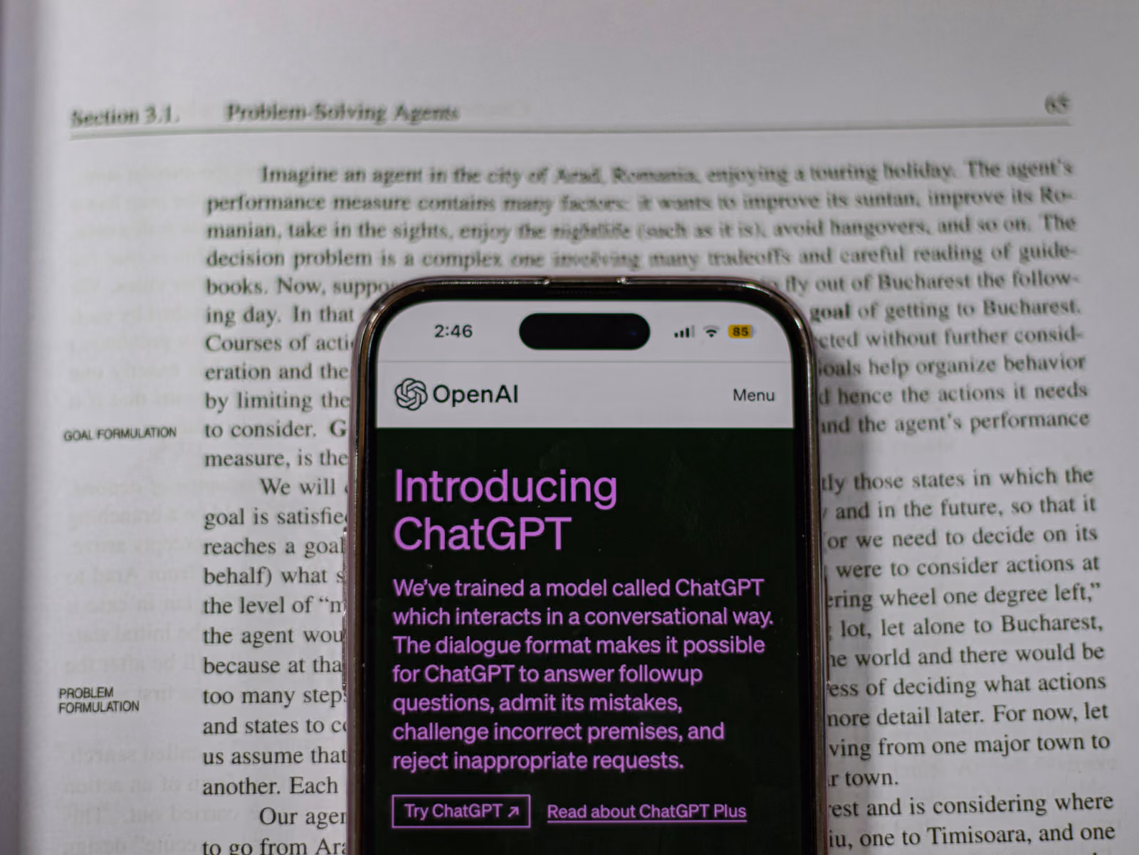 Website chatbot prompts